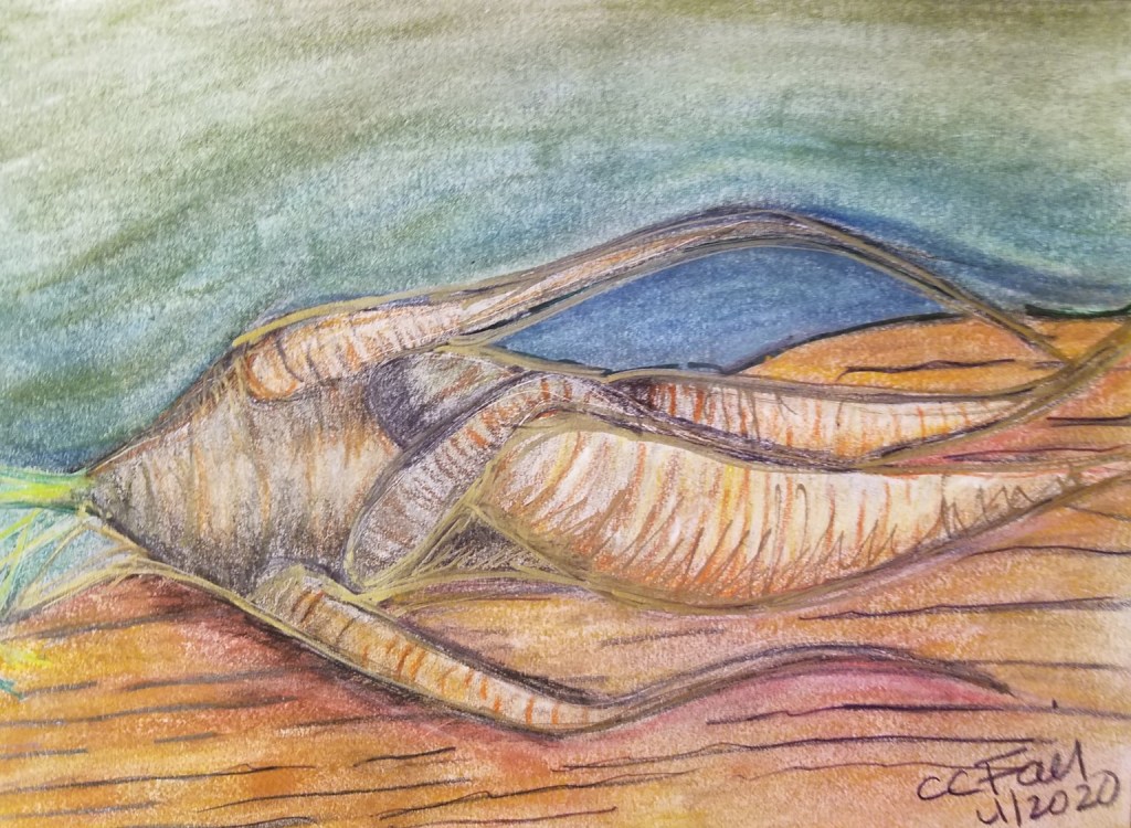 A charcoal sketch of an erotic radish which is redolent of a couple engaging in intimacy.