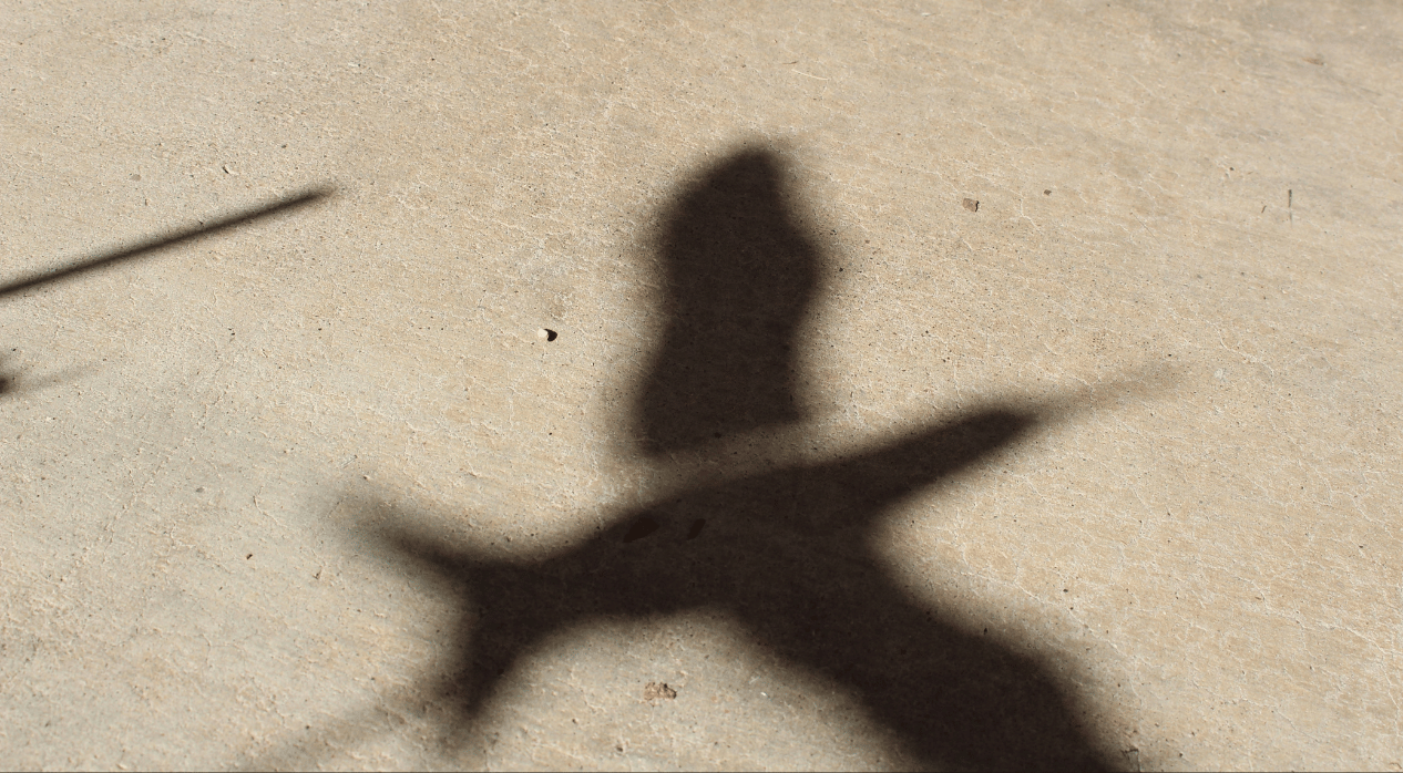 shadow of a hummingbird flying