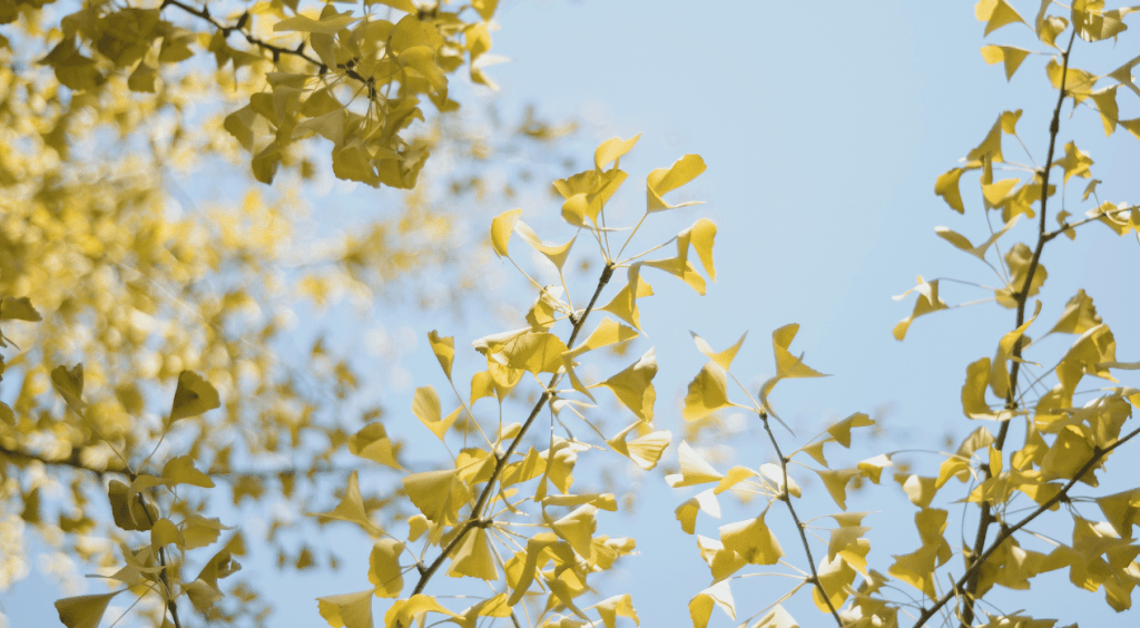 Three Poems